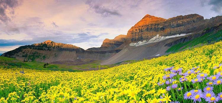 Uttaranchal Uttaranchal